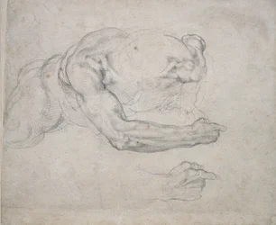 Study of a Man rising from the Ground
